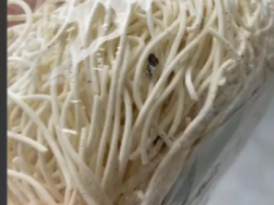 Inspection des corps étrangers dans les nouilles de riz