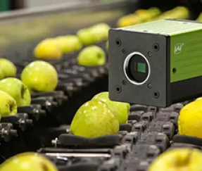  Fruit Quality Inspection