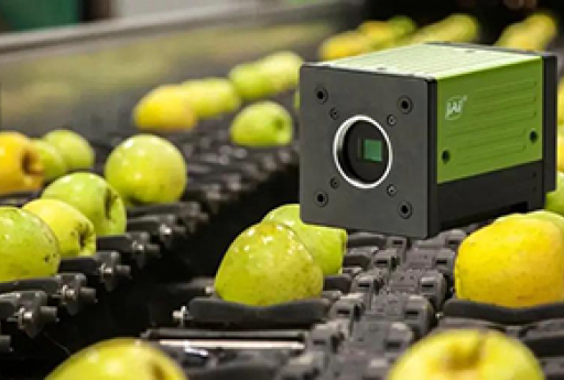  Fruit Quality Inspection