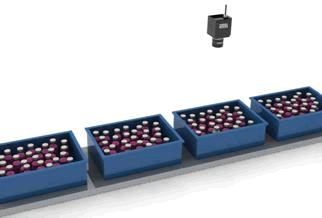 Solution d'inspection visuelle pour le comptage des bouteilles de boissons.png